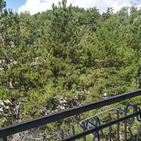 Apartmán Da Santina Pieve Santo Stefano Exteriér fotografie