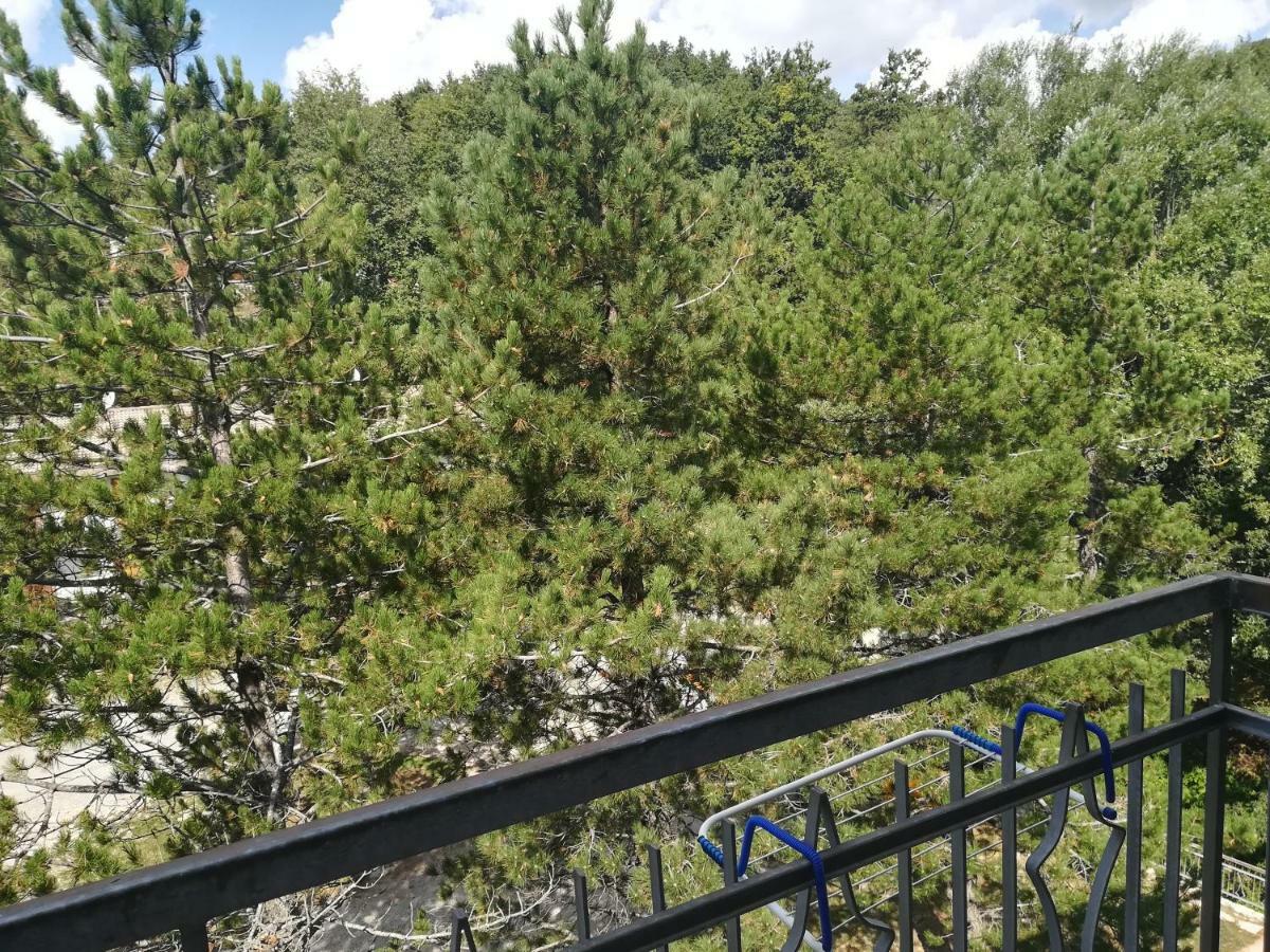 Apartmán Da Santina Pieve Santo Stefano Exteriér fotografie