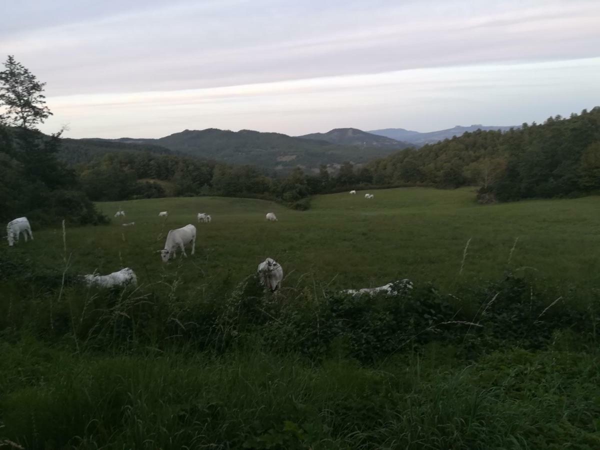 Apartmán Da Santina Pieve Santo Stefano Exteriér fotografie